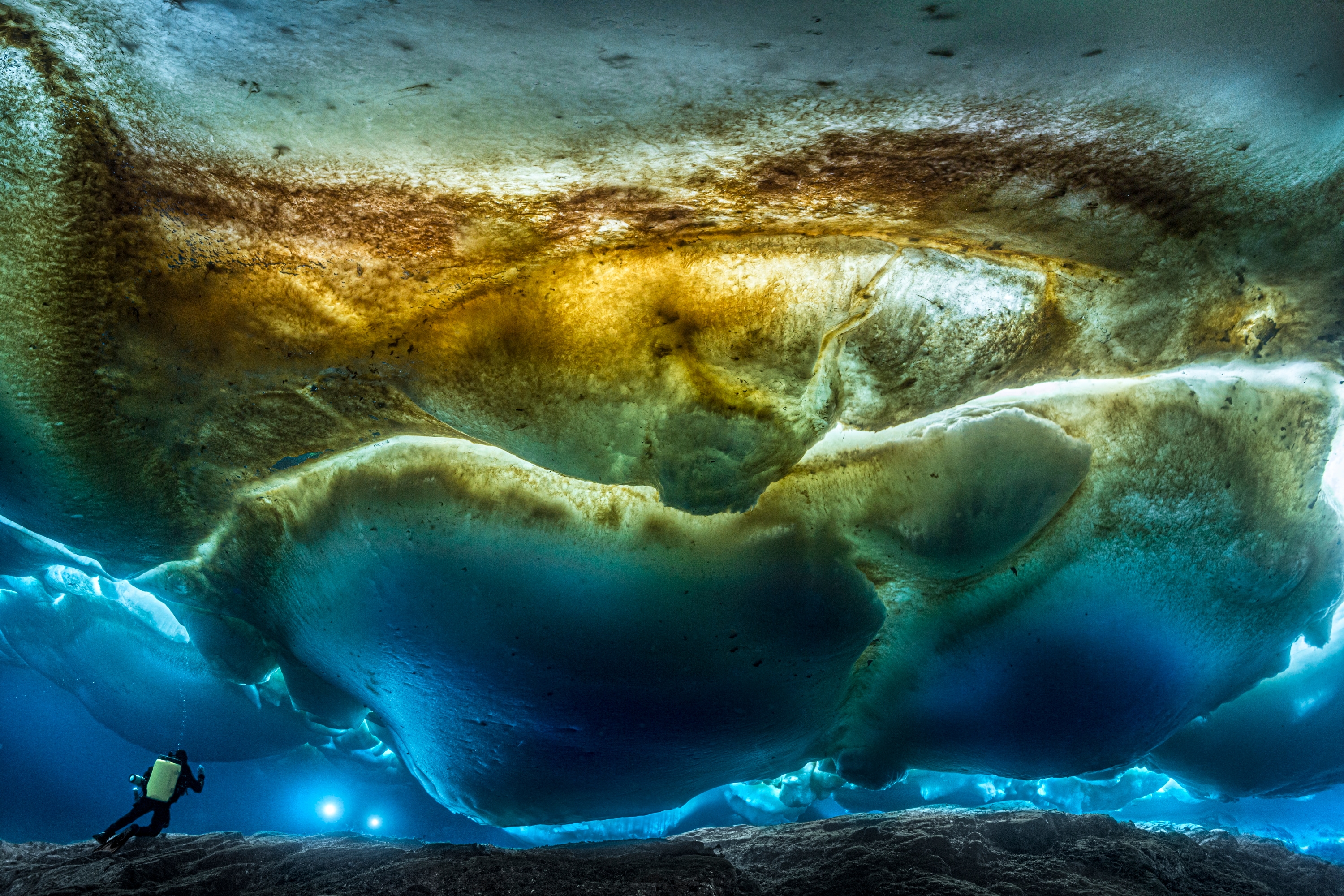 Blancpain partner Laurent Ballesta wins Wildlife Photographer of the ...