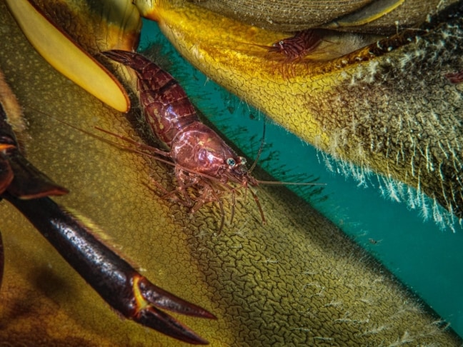 WPY-portfolio