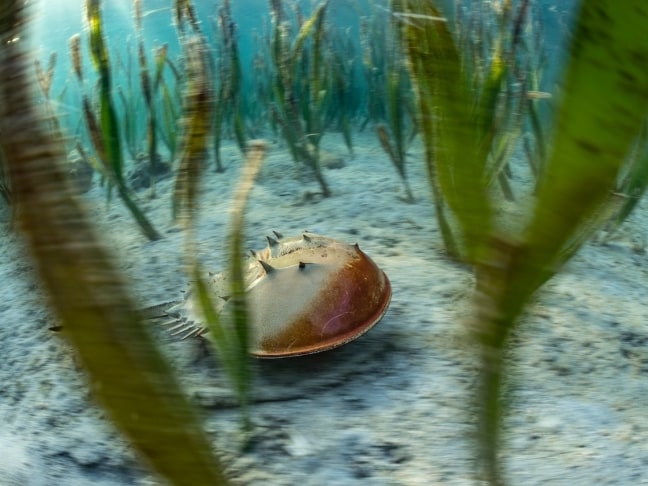 WPY-portfolio