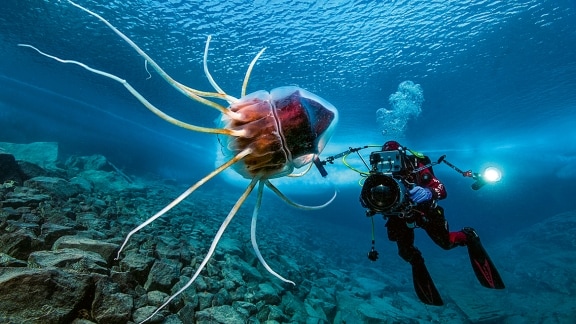 Gombessa III Expedition Laurent Ballesta