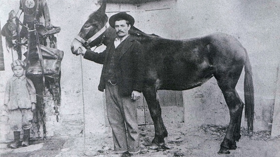 Blancpain Art de vivre - Gaja con cavallo